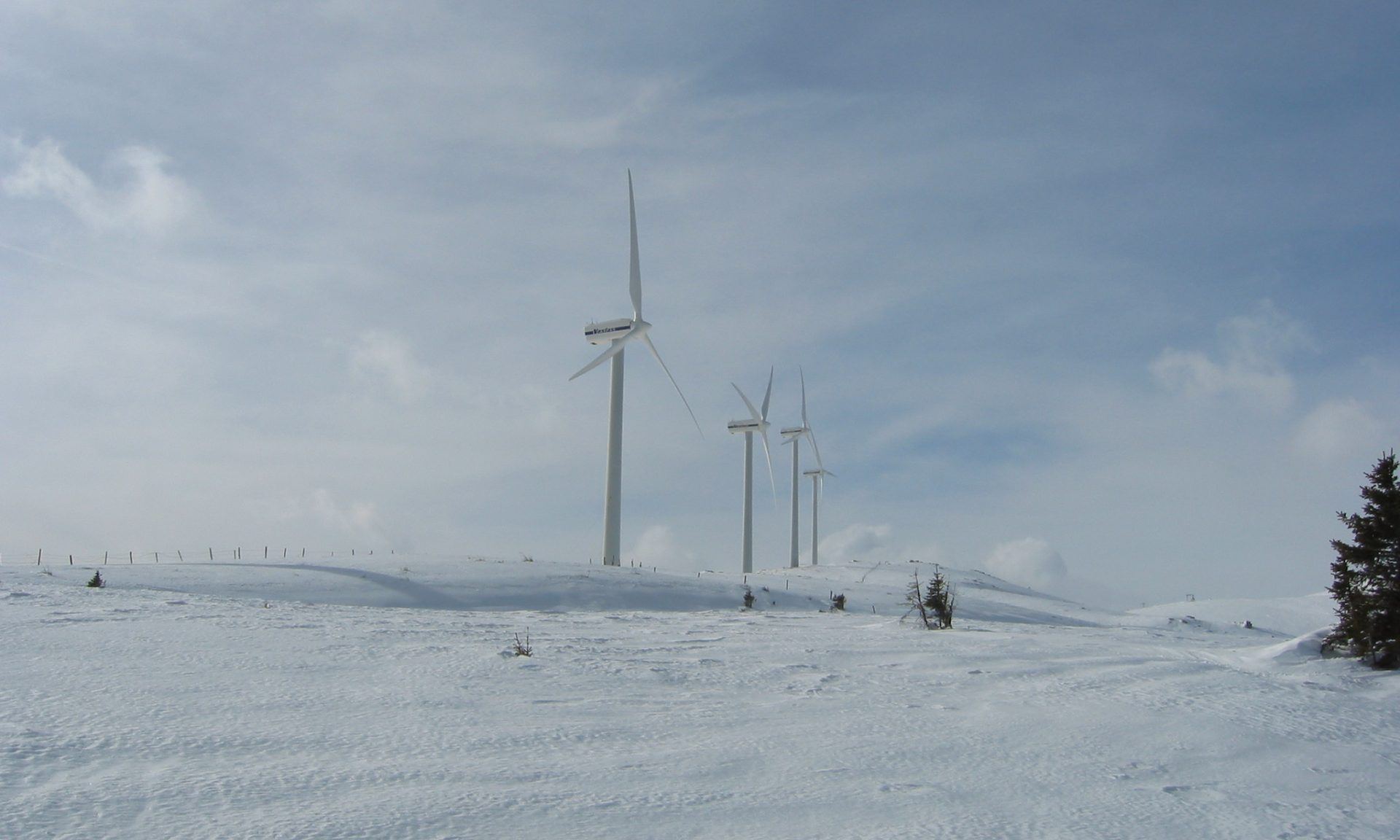 Wind