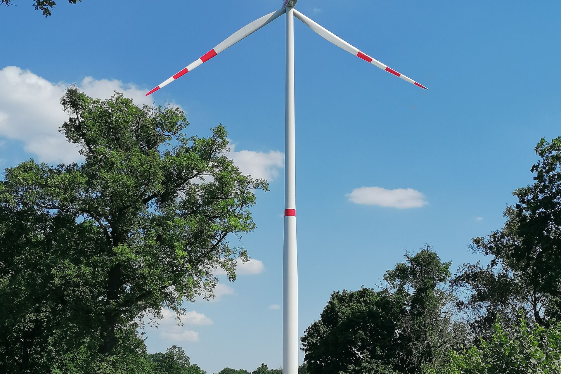 Windpark Wind Farm
